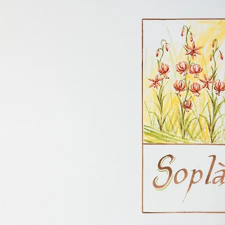 Ciasa Sopla San Cassiano (Badia)